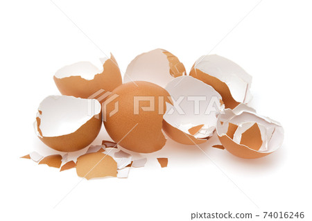 Eggshell. Shell of eggs on white. Eggshell. Shell of eggs on white. 74016246