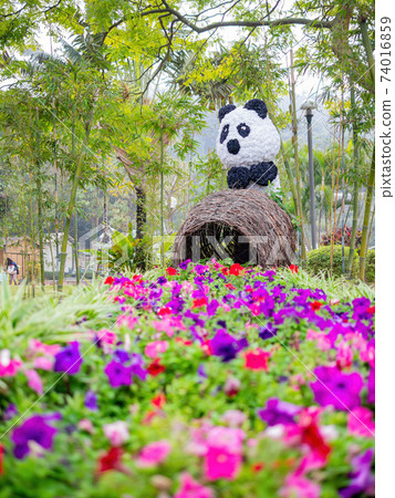 Close up shot of a panda shape flower art 74016859