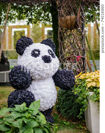 Close up shot of a panda shape flower art Close up shot of a panda shape flower art 74016860