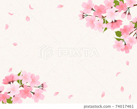 Background material of cherry blossoms with scattered petals Background material of cherry blossoms with scattered petals 74017461