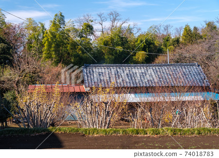 日本五香粉領域 74018783