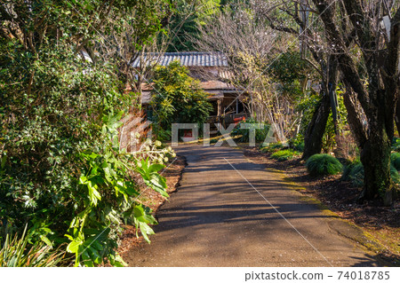 路上的陽光 路上的陽光 74018785