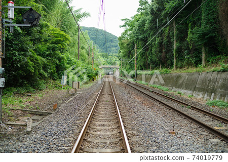 Railroad tracks through the forest Railroad tracks through the forest 74019779