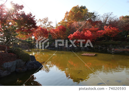 Autumn leaves of Sakurayama Park 74020593