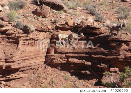 Rocky Mountains in Moab, Utah Rocky Mountains in Moab, Utah 74020990