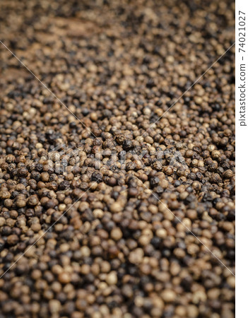 close-up of kampot pepper peppercorns drying in cambodia close-up of kampot pepper peppercorns drying in cambodia 74021027