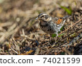 Thrush 74021599