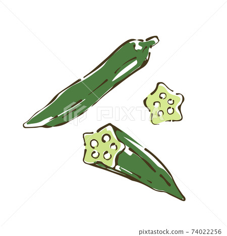 秋葵蔬菜的手繪素描圖 74022256