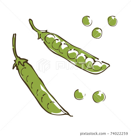 Sayaendo蔬菜手繪素描圖 74022259