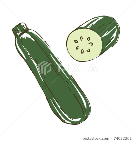 西葫蘆蔬菜手繪素描圖 74022261
