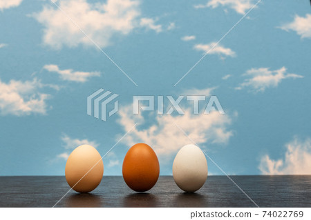 Image photo of chicken egg Image photo of chicken egg 74022769