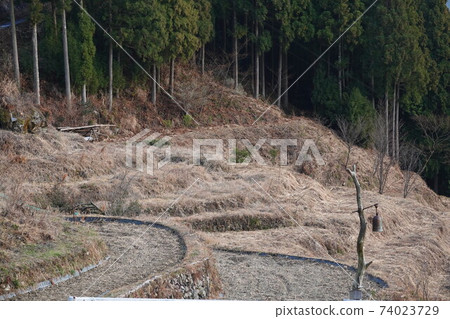 Rice terraces and half bells Rice terraces and half bells 74023729