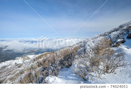 從Karakuni山看到的Shinmoedake山的噴發和降雪景象 從Karakuni山看到的Shinmoedake山的噴發和降雪景象 74024051