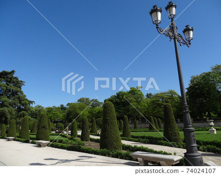 Beautifully trimmed planting park, Retiro Park, Spain 74024107