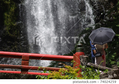 Meiji no Mori Minoh National Monument ・ Scenery of Minoh Falls with a vermilion bridge Meiji no Mori Minoh National Monument ・ Scenery of Minoh Falls with a vermilion bridge 74024259
