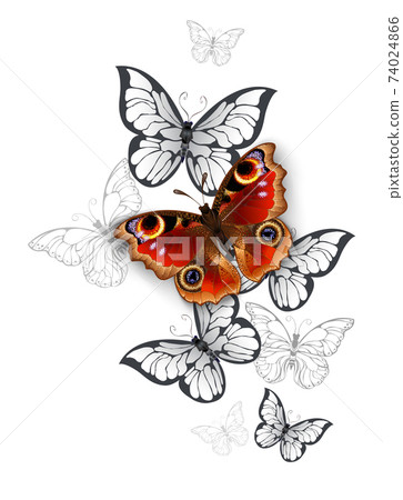 Peacock butterfly flight 74024866