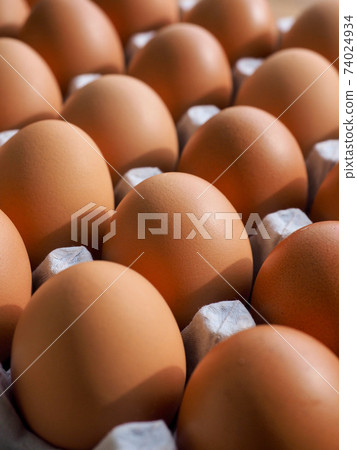 Fresh brown eggs, food, cooking ingredients Fresh brown eggs, food, cooking ingredients 74024934