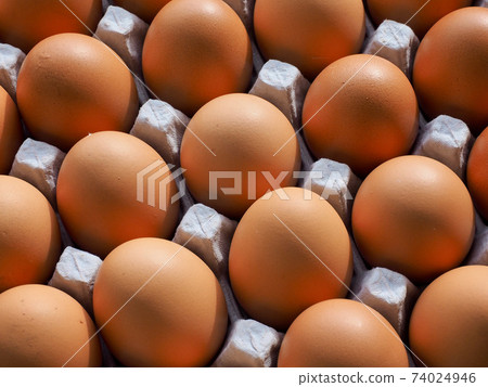 Fresh brown eggs, food, cooking ingredients Fresh brown eggs, food, cooking ingredients 74024946