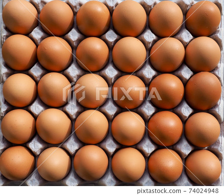 Fresh brown eggs, food, cooking ingredients Fresh brown eggs, food, cooking ingredients 74024948