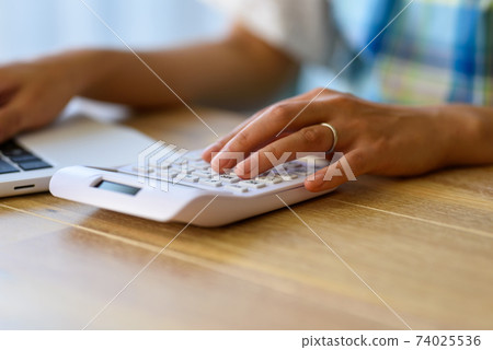 Housewife who manages household budget 74025536