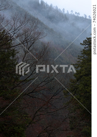 Mountain fog valley (Atera Valley, Okuwa Village, Kiso District, Nagano Prefecture) 74026021