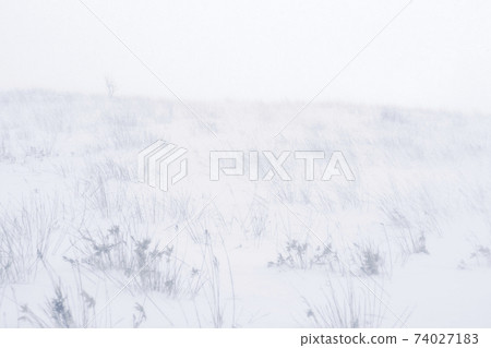 暴風雪風景 暴風雪風景 74027183