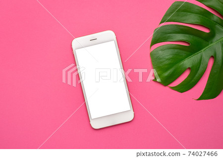 Mobile phone with blank screen and tropical leaves monstera on on neon pink background. copy space, flat lay 74027466