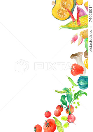 Watercolor illustration green and yellow vegetables 74028014