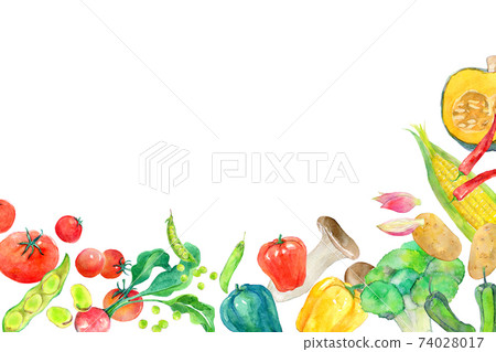 Watercolor illustration green and yellow vegetables 74028017