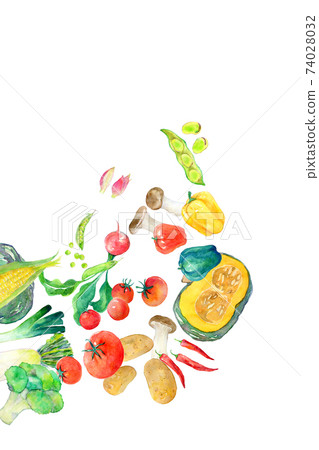 Watercolor illustration green and yellow vegetables Watercolor illustration green and yellow vegetables 74028032