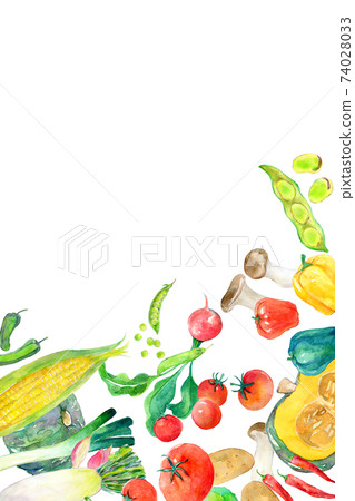 水彩插圖綠色和黃色的蔬菜 水彩插圖綠色和黃色的蔬菜 74028033