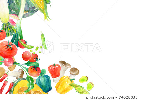 Watercolor illustration green and yellow vegetables 74028035