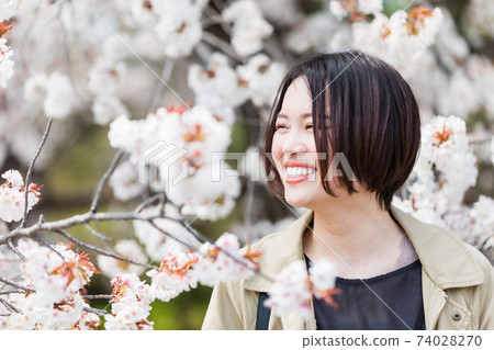 Cherry blossoms in full bloom and young women 74028270