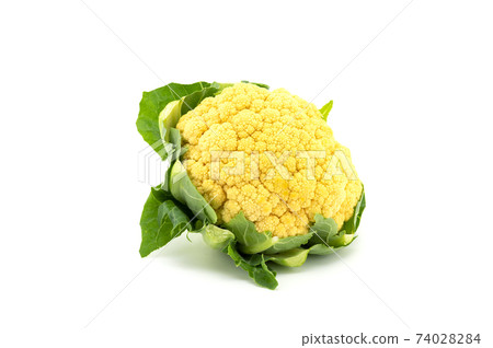 菜花 菜花 74028284