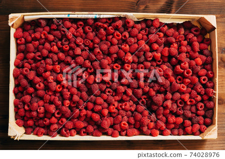 A wooden box with ripe raspberry berries. The texture and background of a large amount of raspberries. A wooden box with ripe raspberry berries. The texture and background of a large amount of raspberries. 74028976