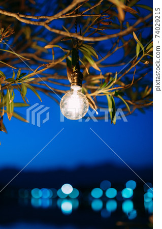 Retro garlands. Led-lamps overnight under a tree. Retro garlands. Led-lamps overnight under a tree. 74029215