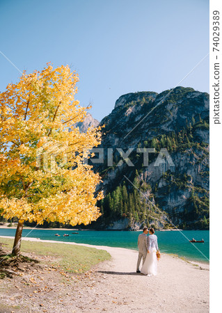 Bride and groom under an autumn tree, with fiery yellow foliage, at the Lago di Braies in Italy. Destination wedding in Europe, on Braies lake. Lovers newlyweds run after each other. Bride and groom under an autumn tree, with fiery yellow foliage, at the Lago di Braies in Italy. Destination wedding in Europe, on Braies lake. Lovers newlyweds run after each other. 74029389
