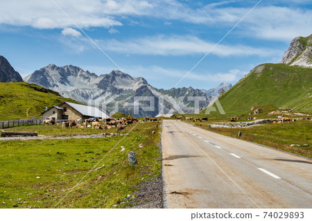 View of the albula pass in grisons, switzerland, europe 74029893