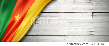 Cameroon flag on old white wall banner 74031075