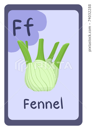 Alphabet education flash card, Letter F - fennel Alphabet education flash card, Letter F - fennel 74032288