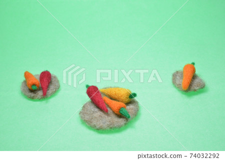 Carrot on green background 74032292