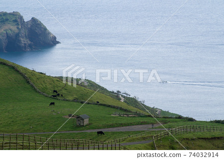 日本海和阿卡哈吉山牧場的景色 74032914