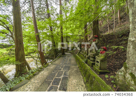 Anrakuji (Ueda City) The approach to the national treasure octagonal triple tower Anrakuji (Ueda City) The approach to the national treasure octagonal triple tower 74034368
