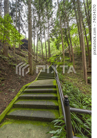Anrakuji (Ueda City) The approach to the national treasure octagonal triple tower Anrakuji (Ueda City) The approach to the national treasure octagonal triple tower 74034370