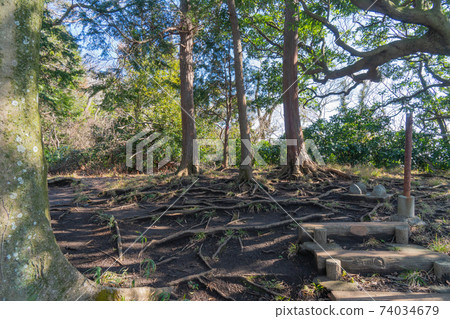 仙山山遠足路線的頂峰 74034679