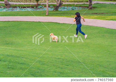 Young woman jogging with her golden puppy in the park 74037560