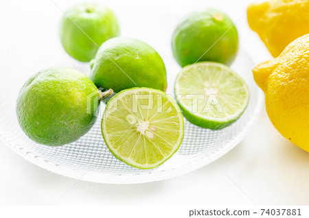 Keylime Keylime 74037881