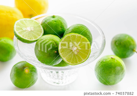 Keylime 74037882