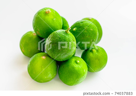 Keylime Keylime 74037883