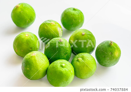 Keylime Keylime 74037884